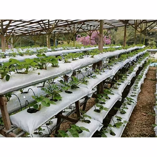 10 25 35 Gallon Grow Bags PE Strawberry Grow Bag