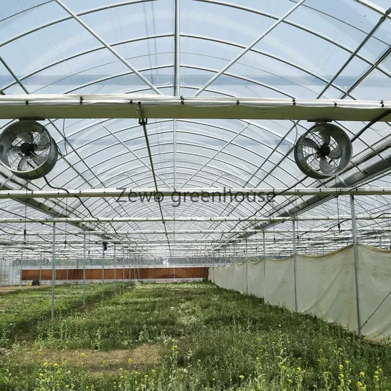 Agriculture Single-Span Arch Type Film Garden Greenhouse with Hydroponics Growing System for Agriculture/ Poultry/ Vegetables/ Tomatoes/ Strawberry