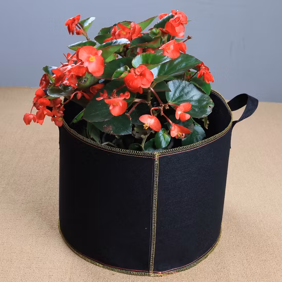 All Size Non-Toxic Non-Woven 5 Gallon Openable Grow Bags for Nursery