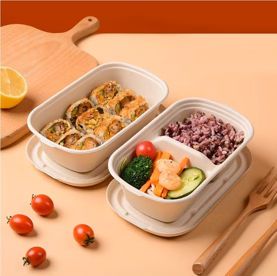 Durable Recyclable PP Lid for 500ml and 700ml Biodegradable Sugarcane Bagasse Box Factory Supply