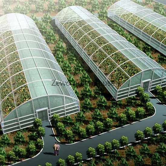 2 Tiers Portable Garden Greenhouse Indoor Outdoor PVC Cover Garden Mini Greenhouse