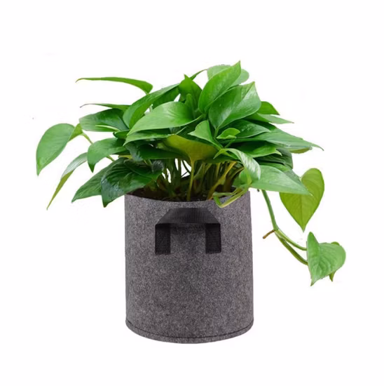 Fabric Felt 5 Gallon Smart Grow Bag for Potato Plant Container with Handles