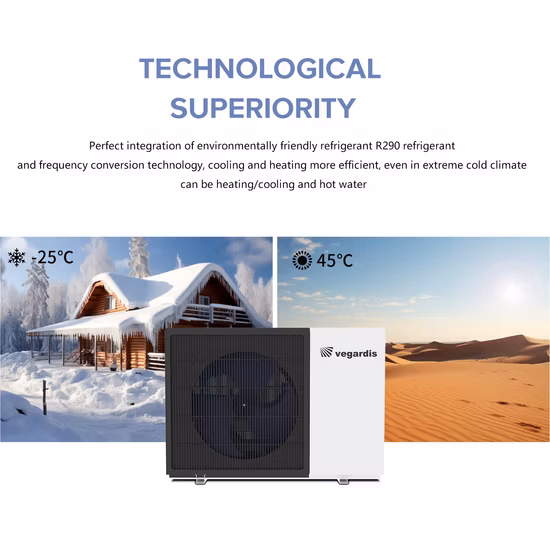 Popular Air to Water Heat Pump for Home Heating and Cooling Inverter 220V