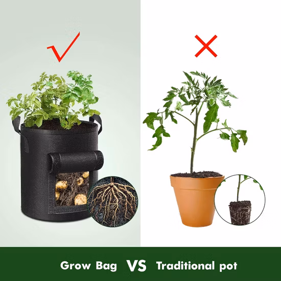 BPA Free Customized Color Black Breathable 5 Gallon Square Fabric Grow Bags for Indoor and Outdoor Garden