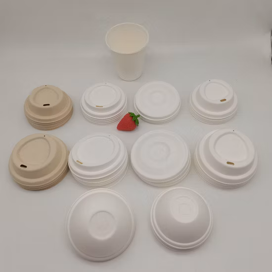 Durable PET Lid for 620ml and 720ml Biodegradable Sugarcane Bagasse Box Factory Supply