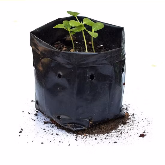 Grow Bags- Plant Container Bag- Custom Order Nursery Bags