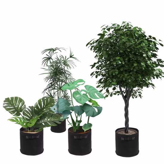 Factory Price High Quality Plant Bag PP/Plastic/Non Woven Fabric Grow Bag for Potato/Garden Planting/Flower Pot