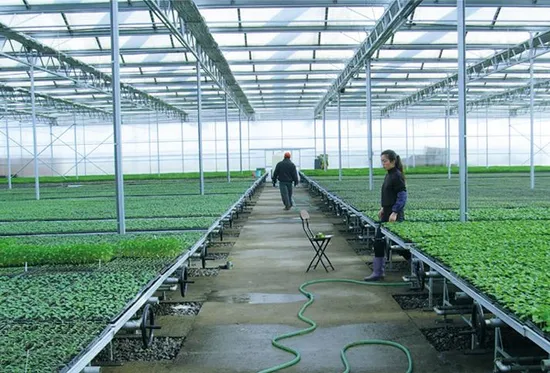 Agricultural Greenhouse Plant Nursery Movable Grow Table Seedbed Rolling Benches