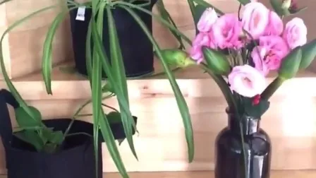 Breathable Thicken Non Woven Fabric Pot Plant Round Grow Bags