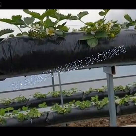 10 25 35 Gallon Grow Bags PE Strawberry Grow Bag