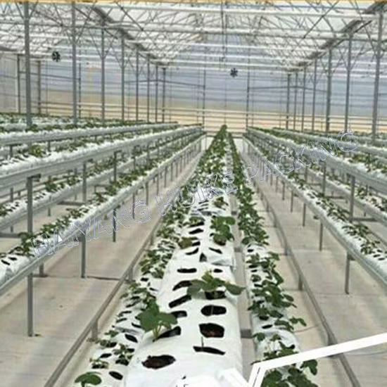 Luxury 7 Gallon Heavy Duty Aeration Fabric Pot All Climat Planter Grow Bag for Agriculture