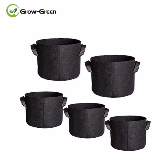Grow-Green 6-Pack 5 Gallon Plant Grow Bags for Potato/Vegetable/Non-Woven Aeration Fabric Pots with Handles (Black)