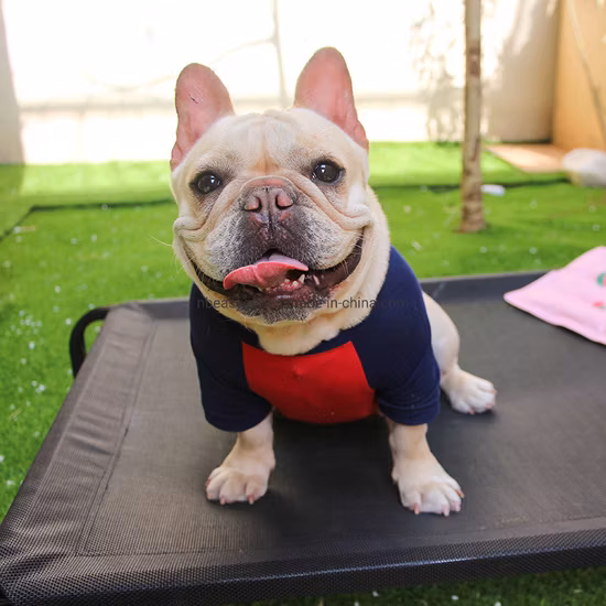Travel Portable Outdoor Foldable Breathable Fabric Raised Elevated Dog Bed with Canopy